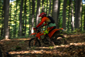 Podzimní Vizovice 2026 - fotogalerie